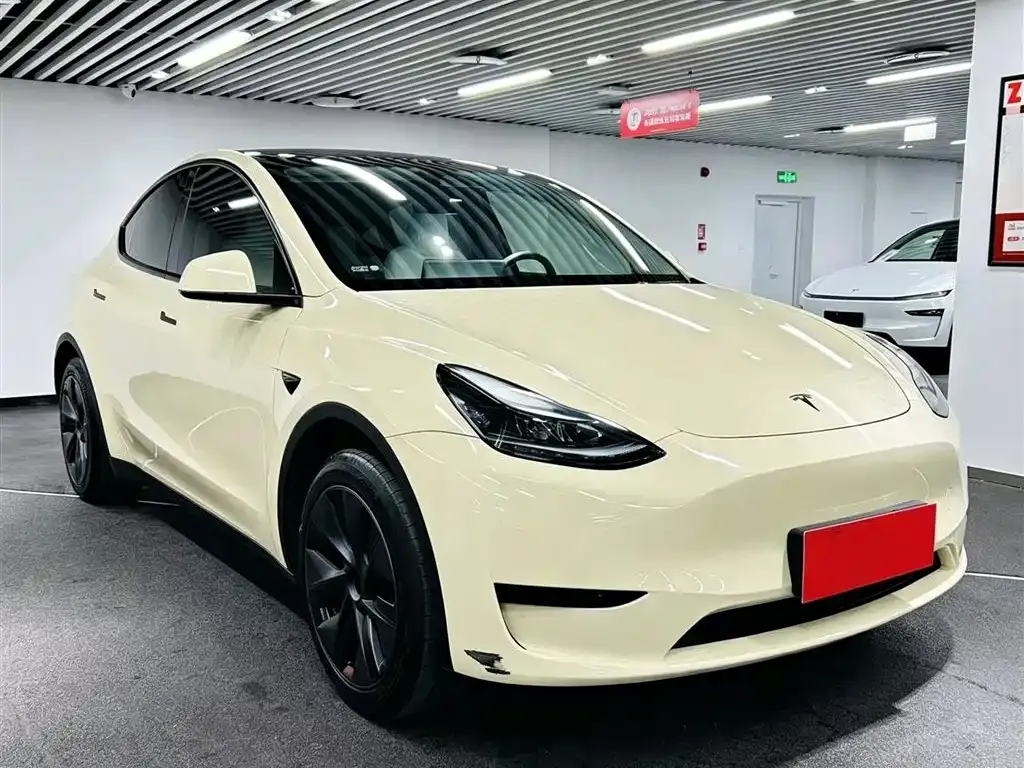 Tesla Model Y — фото 8