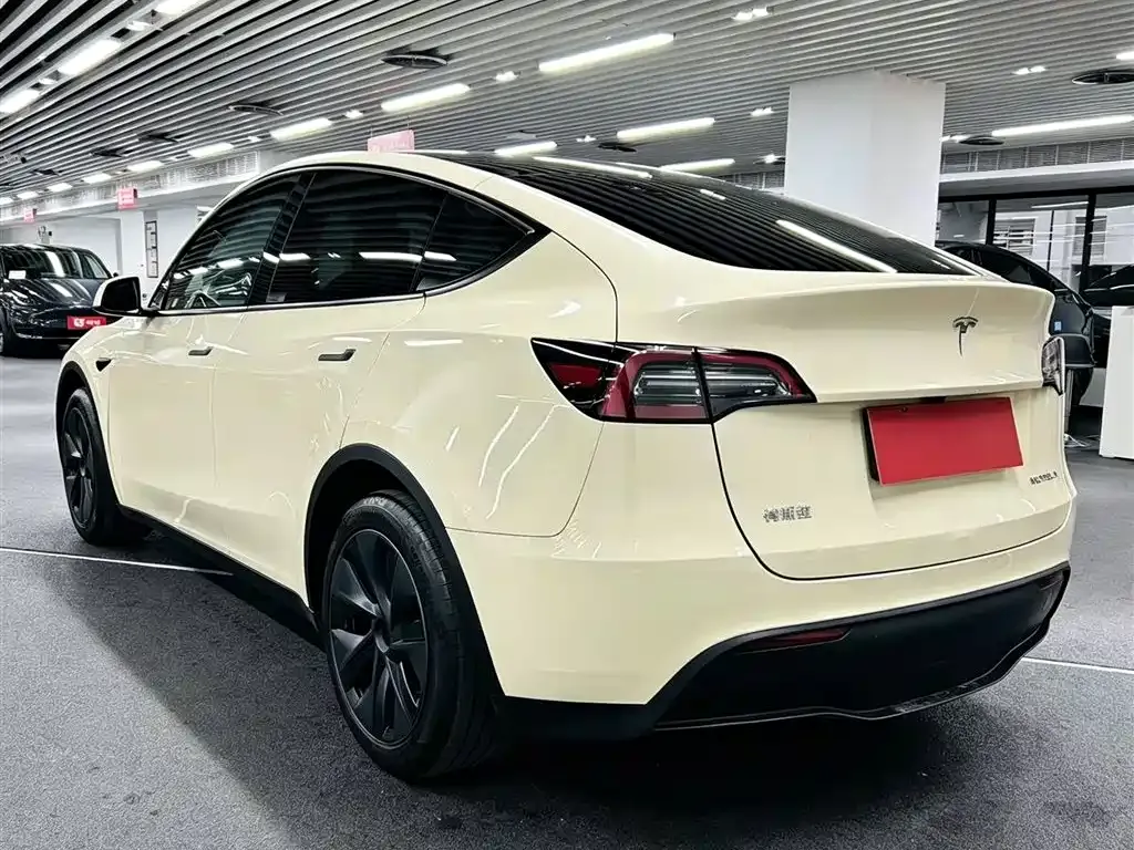 Tesla Model Y — фото 6
