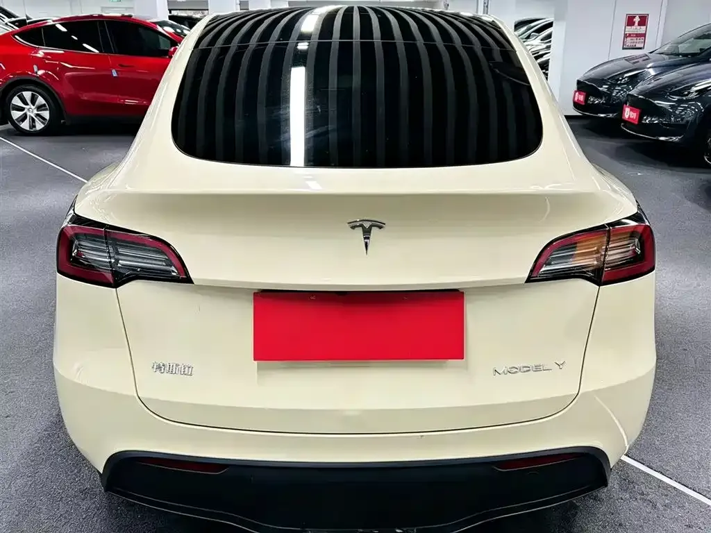 Tesla Model Y — фото 5