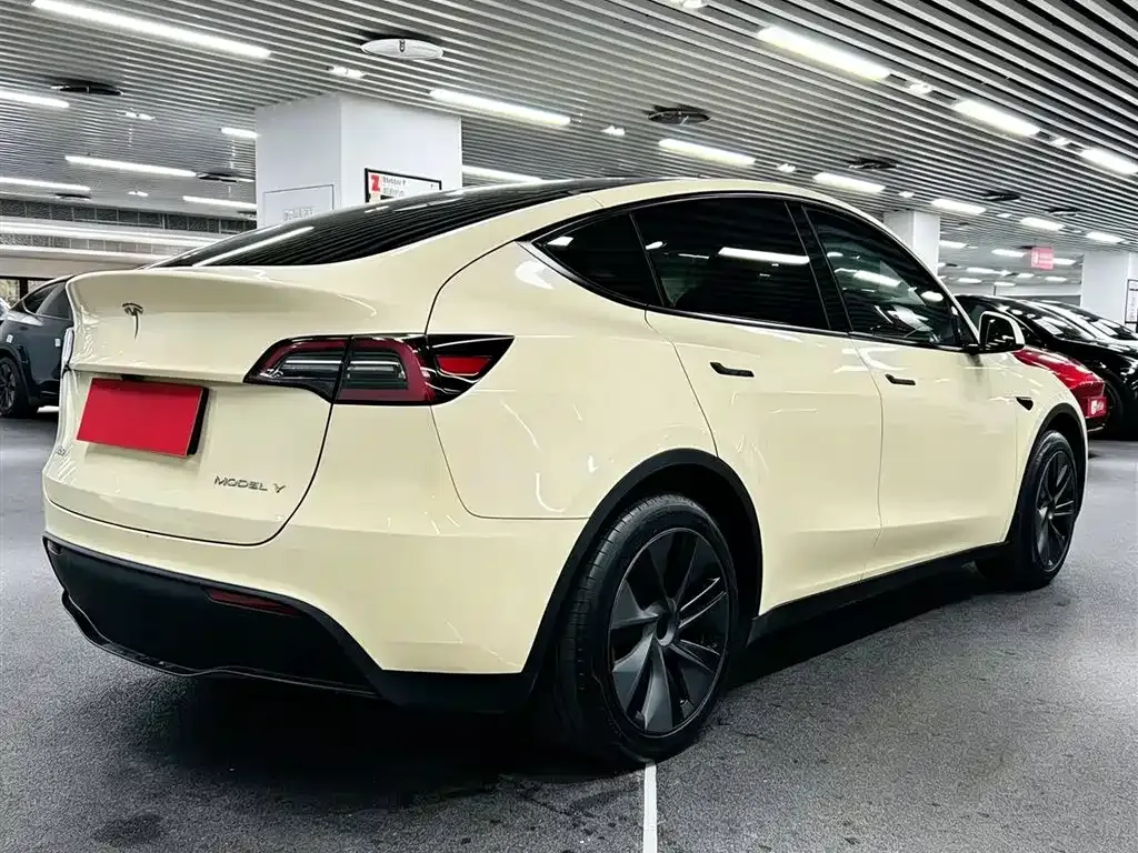 Tesla Model Y — фото 7