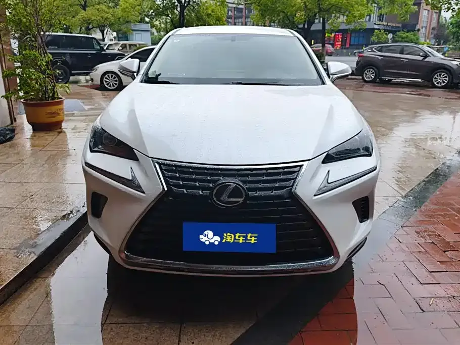 Lexus NX 2021 из CN, фото 2