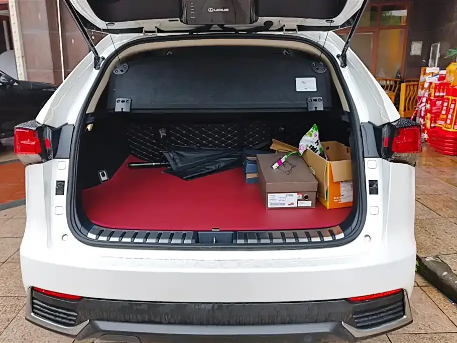 Lexus NX 2021 из CN, фото 3