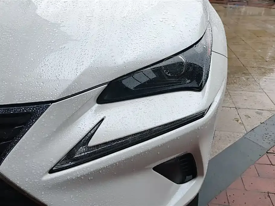 Lexus NX 2021 из CN, фото 7