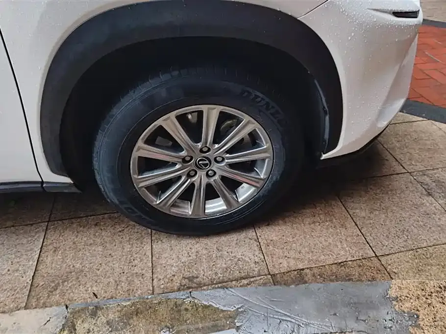 Lexus NX 2021 из CN, фото 6