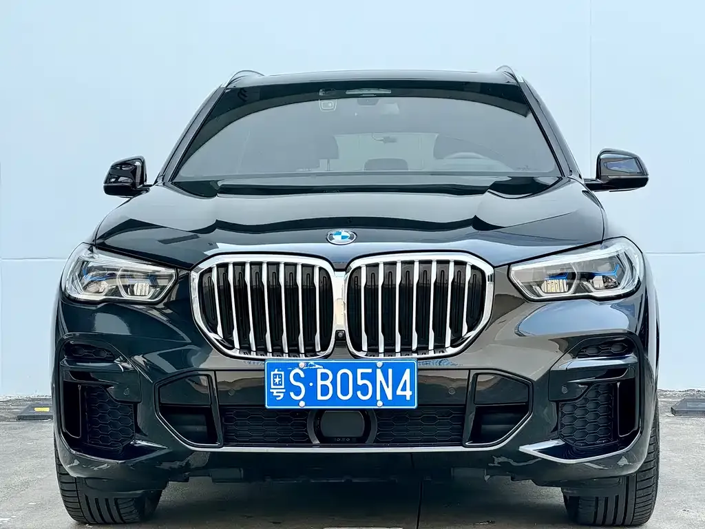 BMW X5 2022 из CN, фото 9