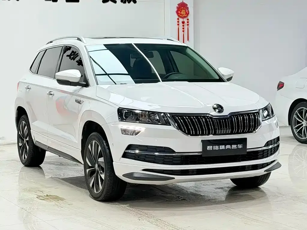 Skoda Karoq — фото 5