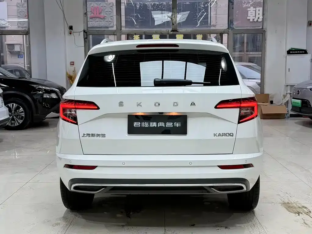 Skoda Karoq — фото 6