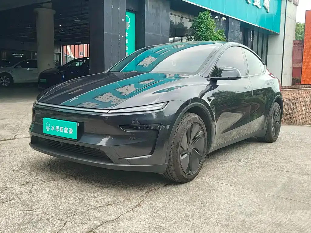 Tesla Model Y 2025 из CN, фото 4