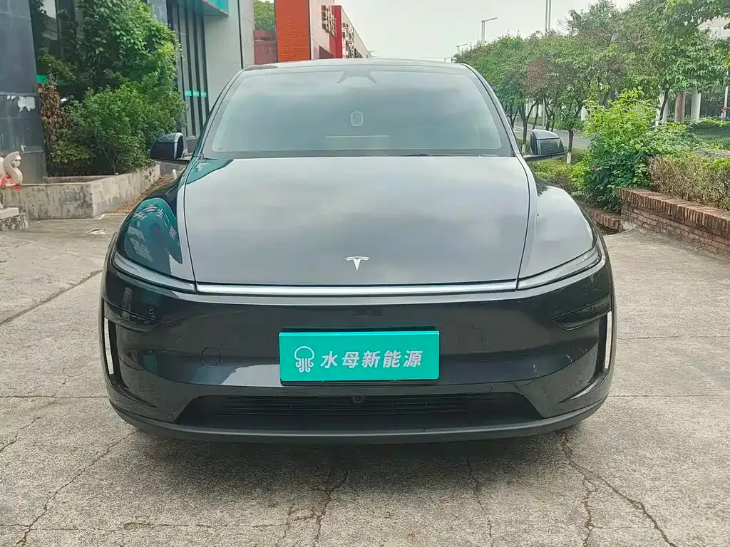 Tesla Model Y 2025 из CN, фото 7