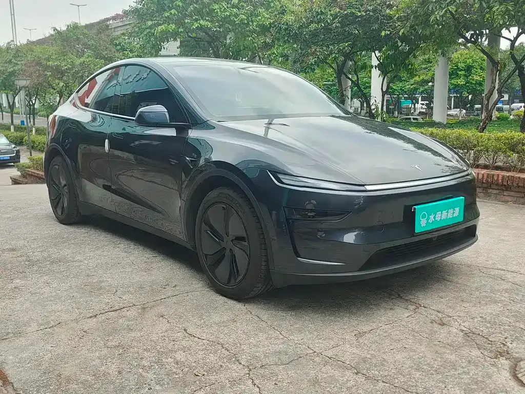 Tesla Model Y 2025 из CN, фото 8