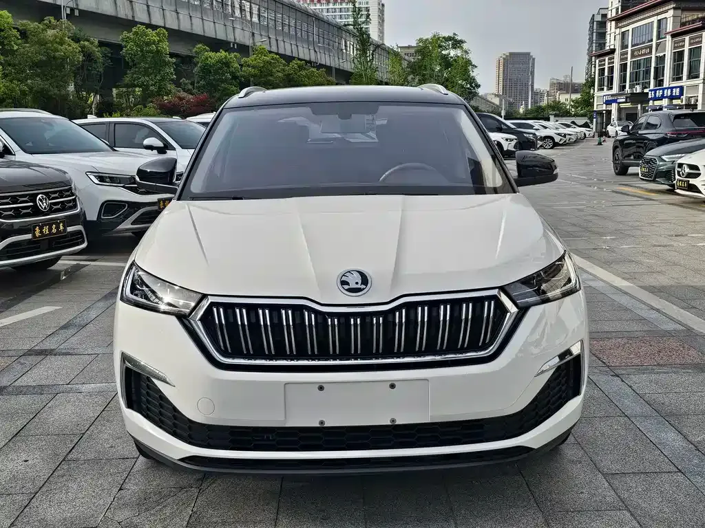 Skoda Kamiq — фото 9