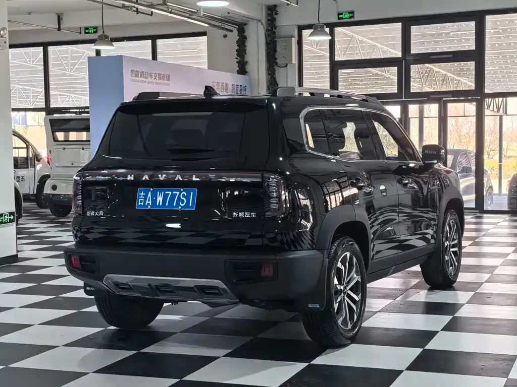Haval Big Dog — фото 4
