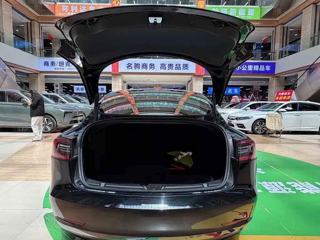 Tesla Model 3 2022 из CN, фото 6