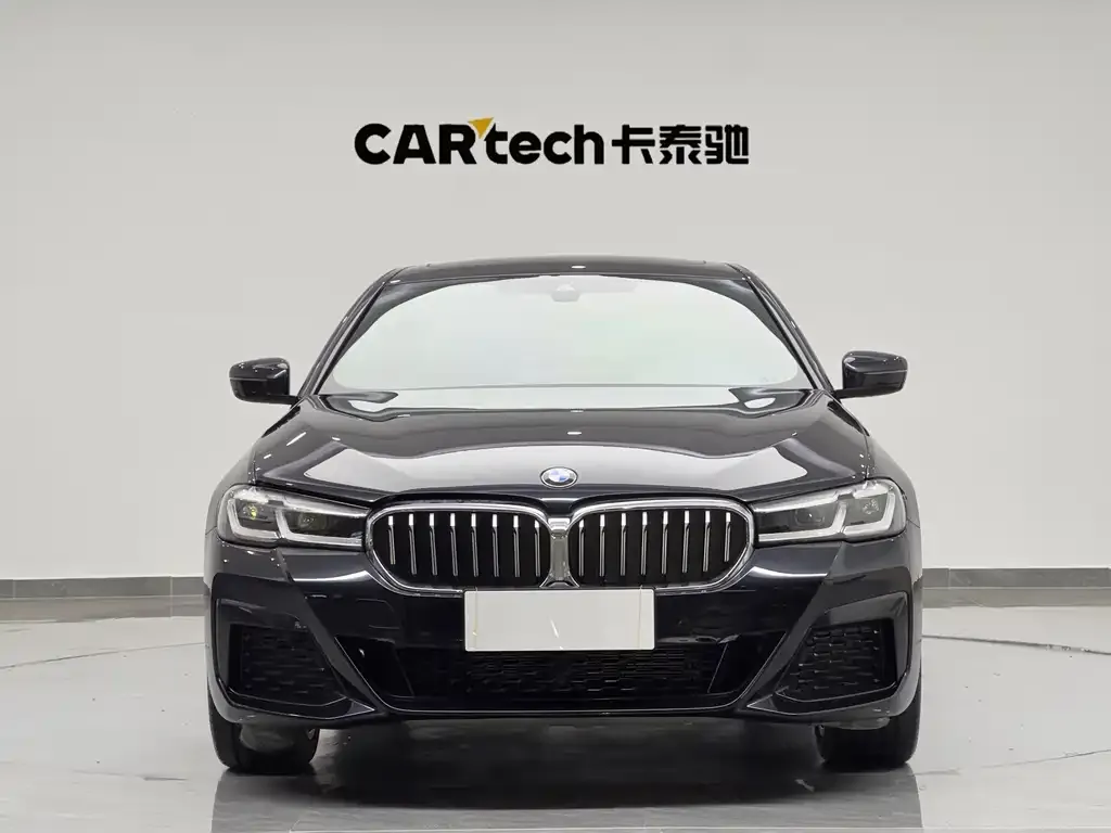 BMW 5 Series 2023 из CN, фото 10