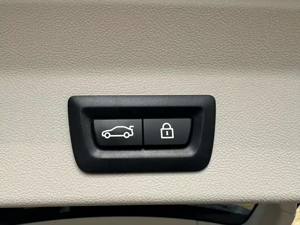 BMW X3 2021 из CN, фото 9