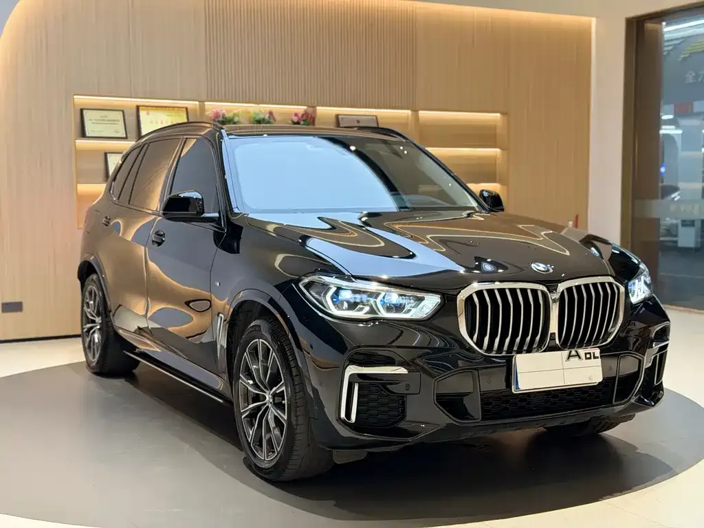 BMW X5 — фото 8