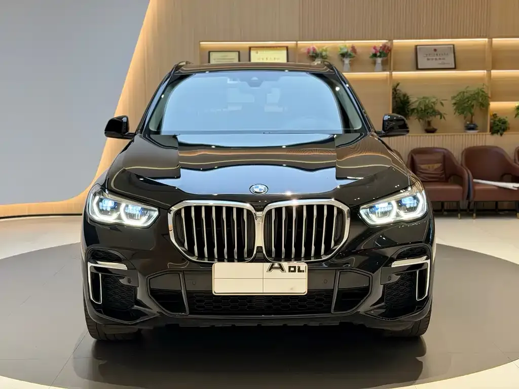 BMW X5 — фото 10