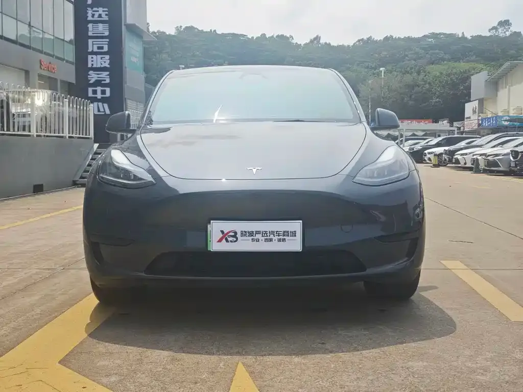 Tesla Model Y — фото 7