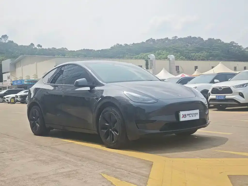 Tesla Model Y — фото 3