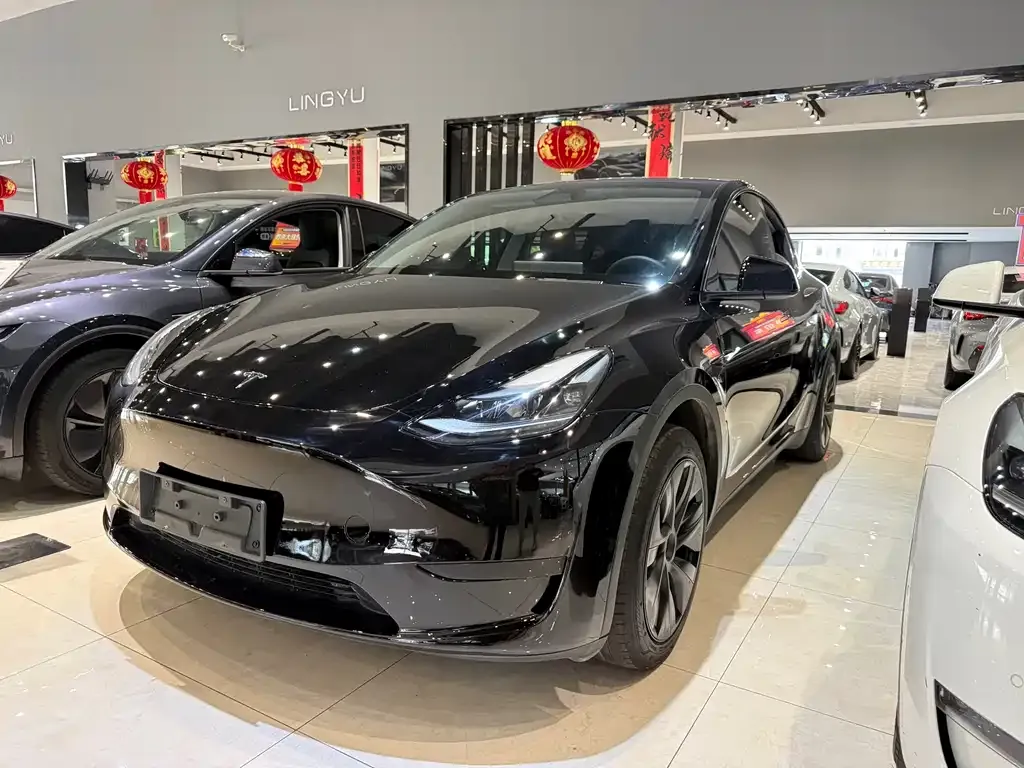 Tesla Model Y — фото 8