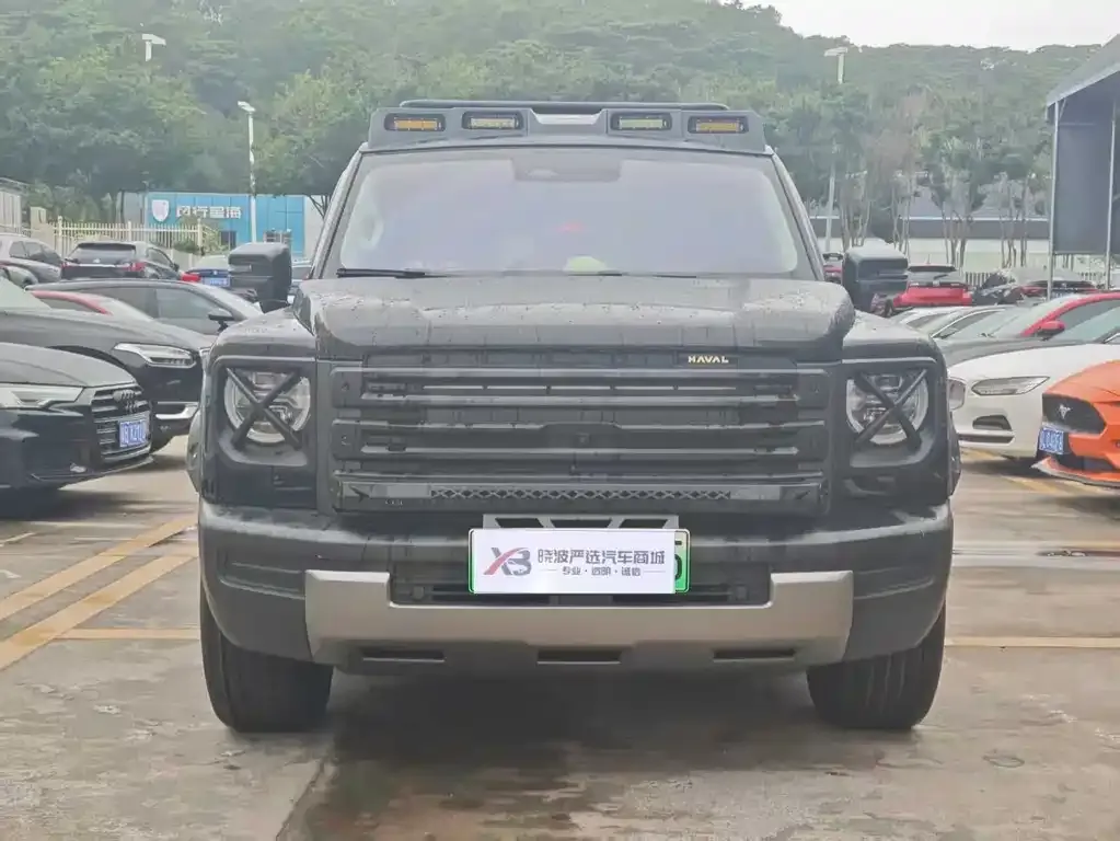 Haval Menglong New Energy 2024 из CN, фото 10