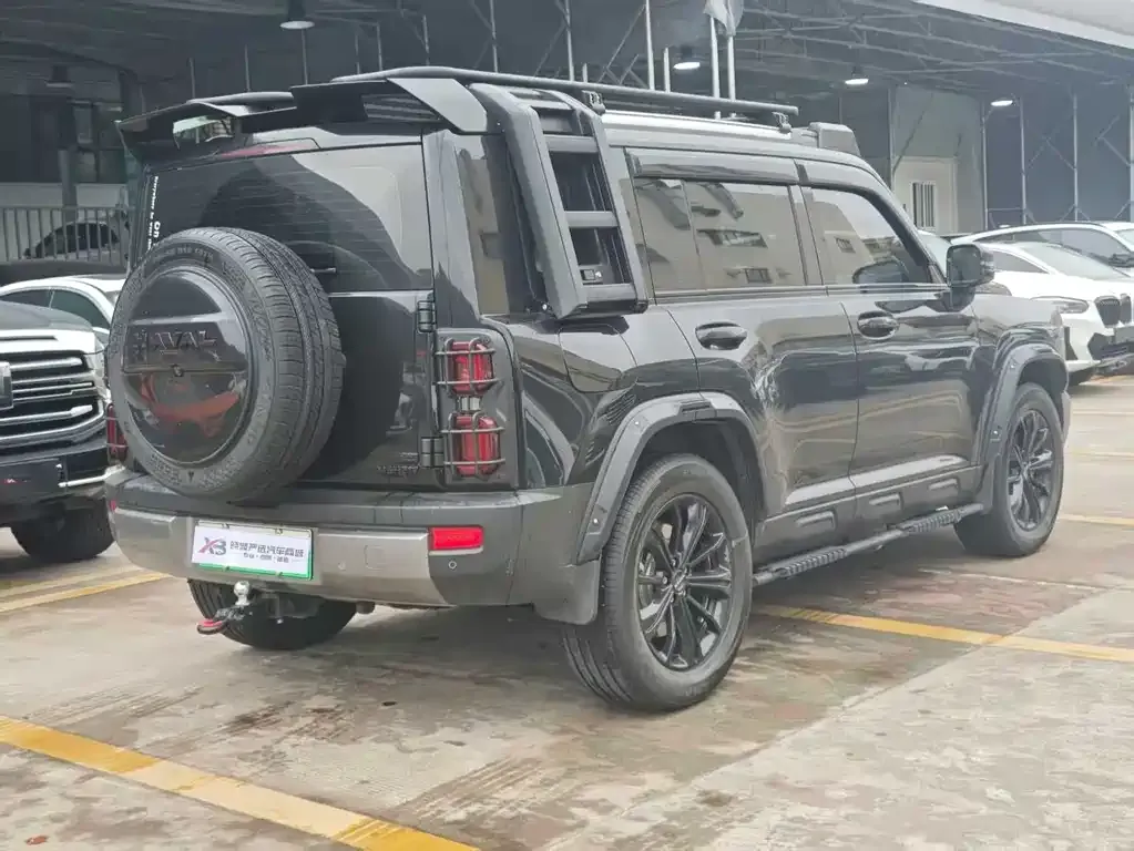 Haval Menglong New Energy 2024 из CN, фото 8