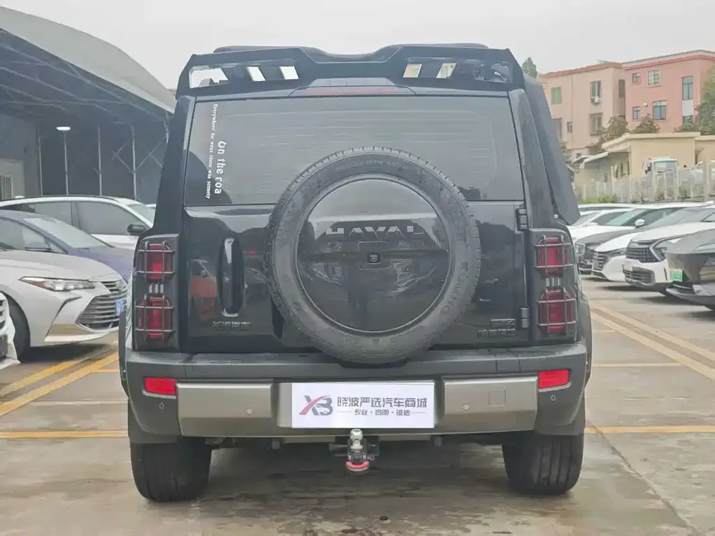 Haval Menglong New Energy 2024 из CN, фото 7