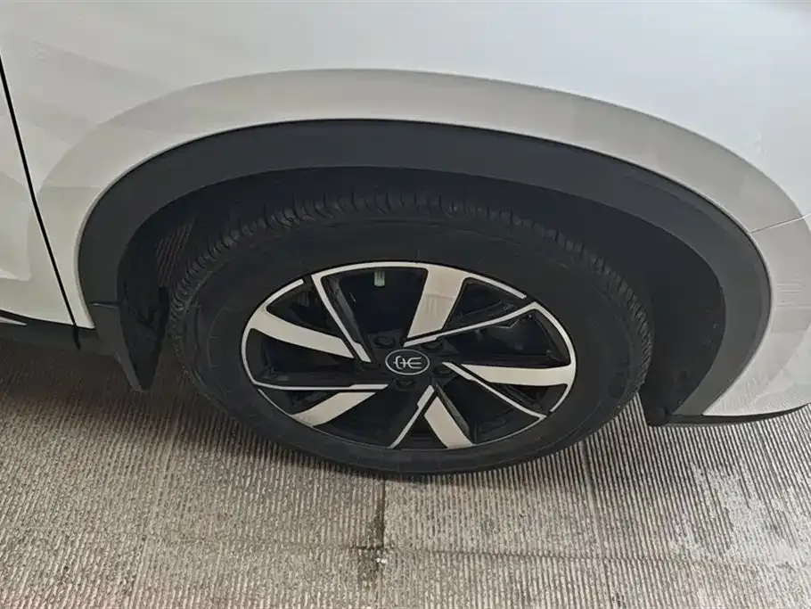 BYD Pro New Energy — фото 10