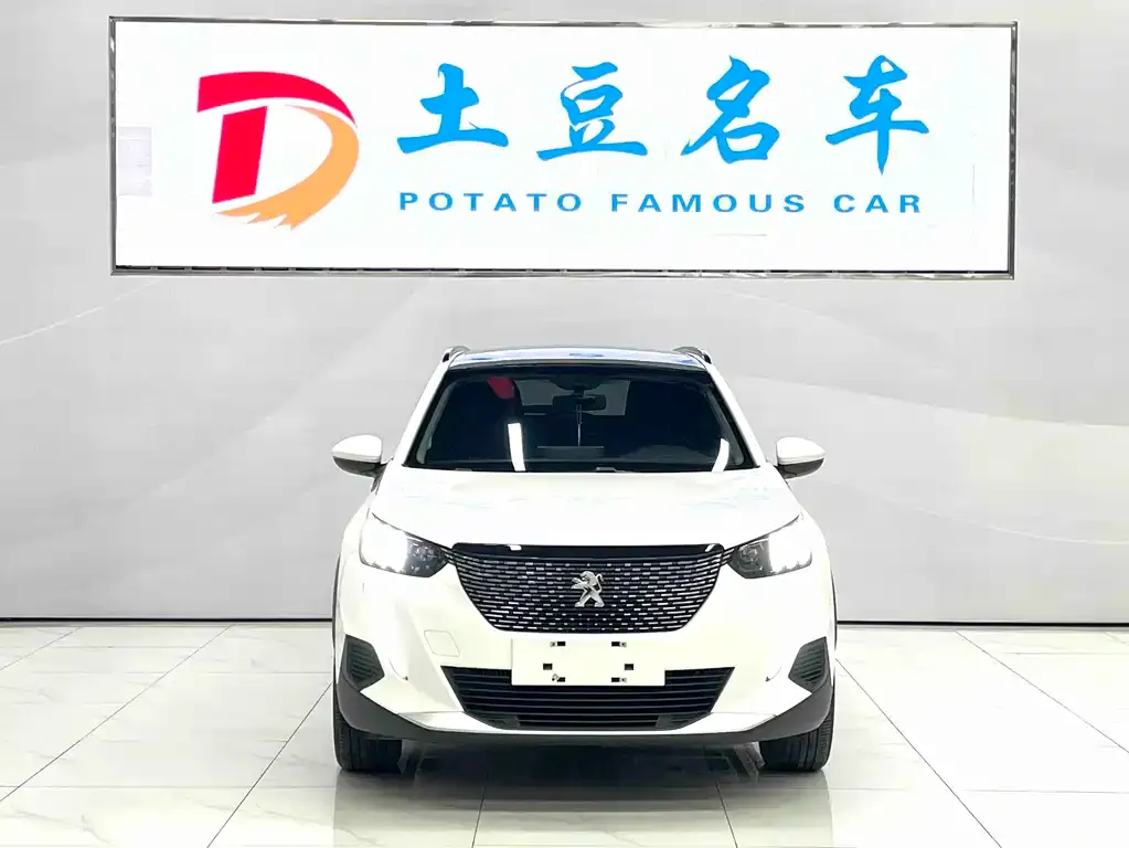 Peugeot 2008 2022 из CN, фото 2