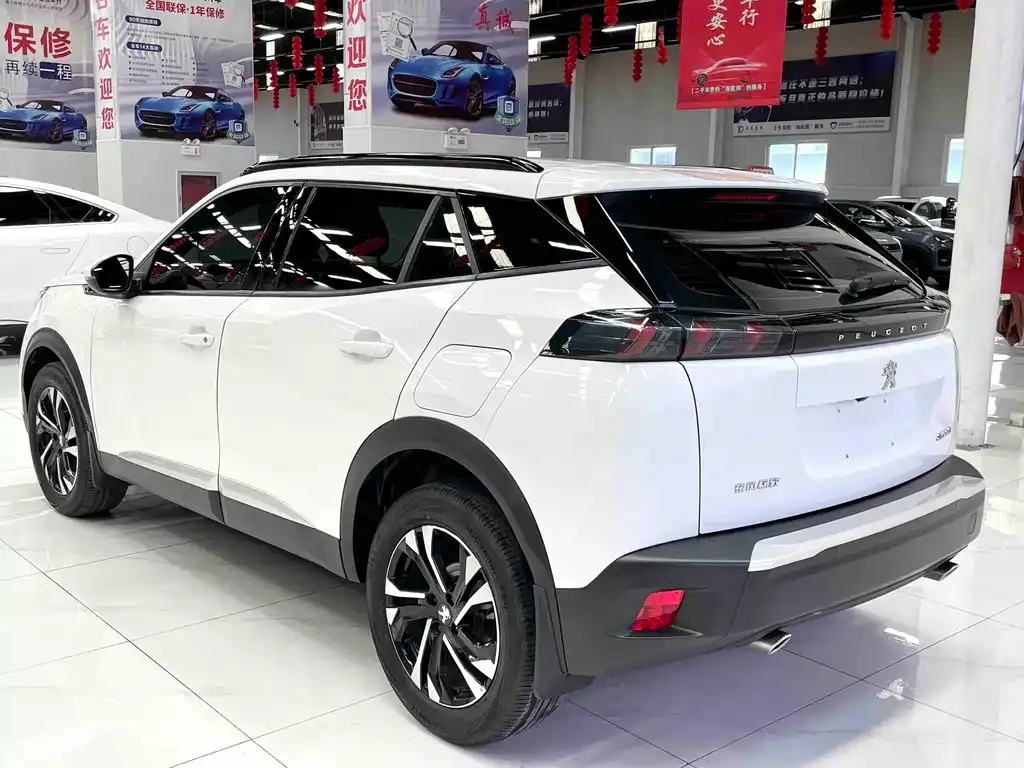 Peugeot 2008 2022 из CN, фото 4