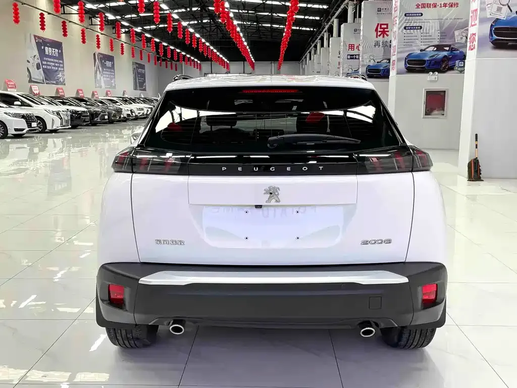 Peugeot 2008 2022 из CN, фото 5