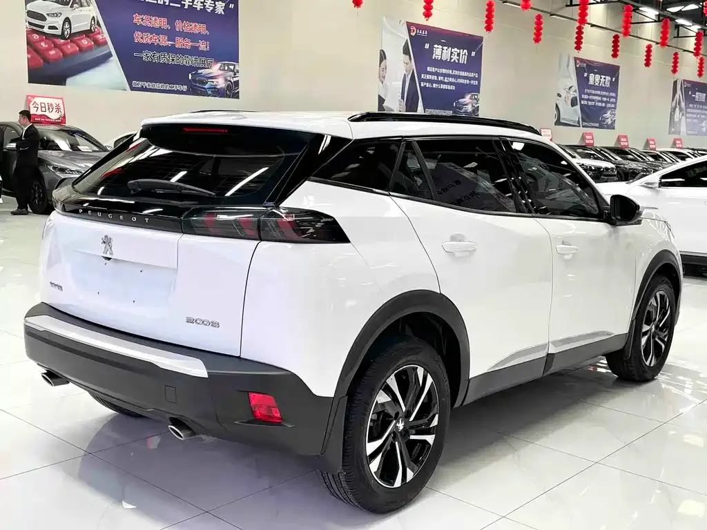 Peugeot 2008 2022 из CN, фото 8