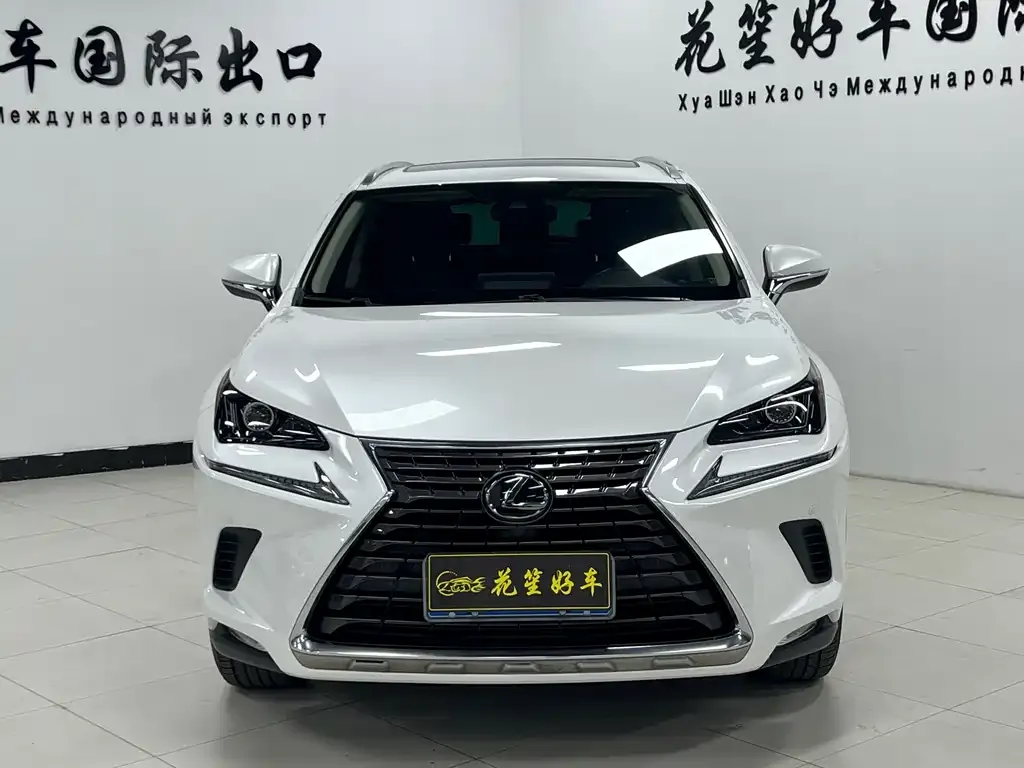Lexus NX 2021 из CN, фото 5