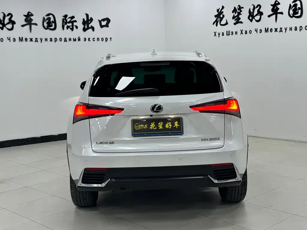 Lexus NX 2021 из CN, фото 3