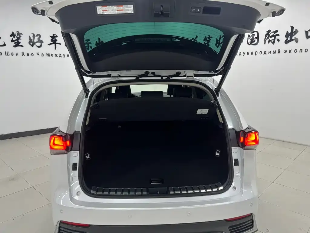 Lexus NX 2021 из CN, фото 4