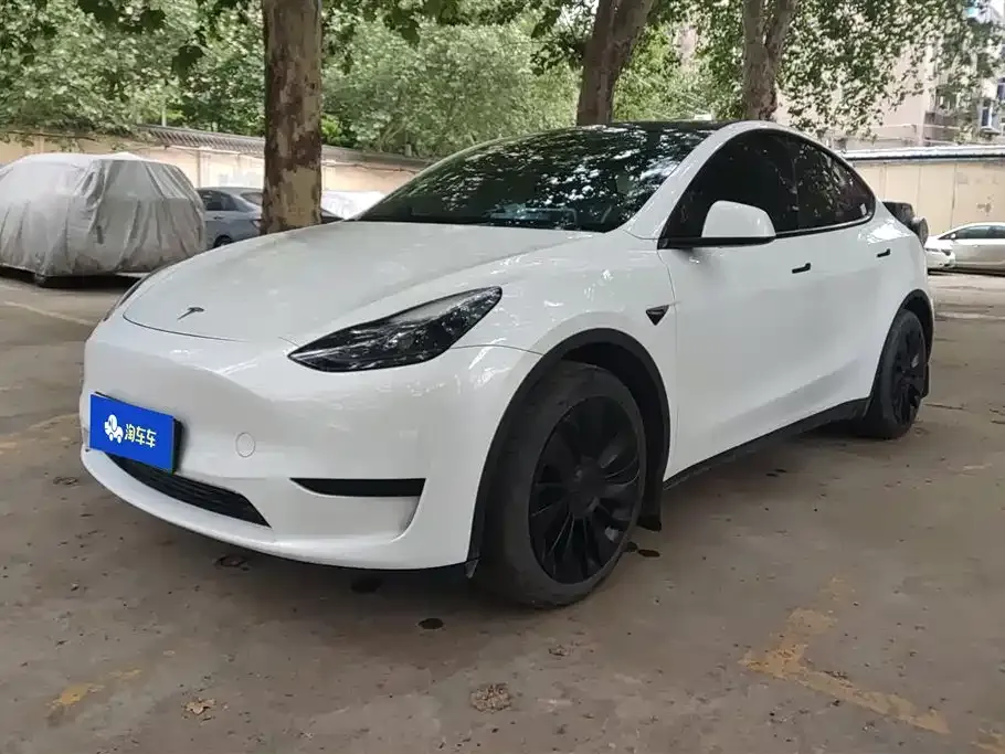 Tesla Model Y — фото 1