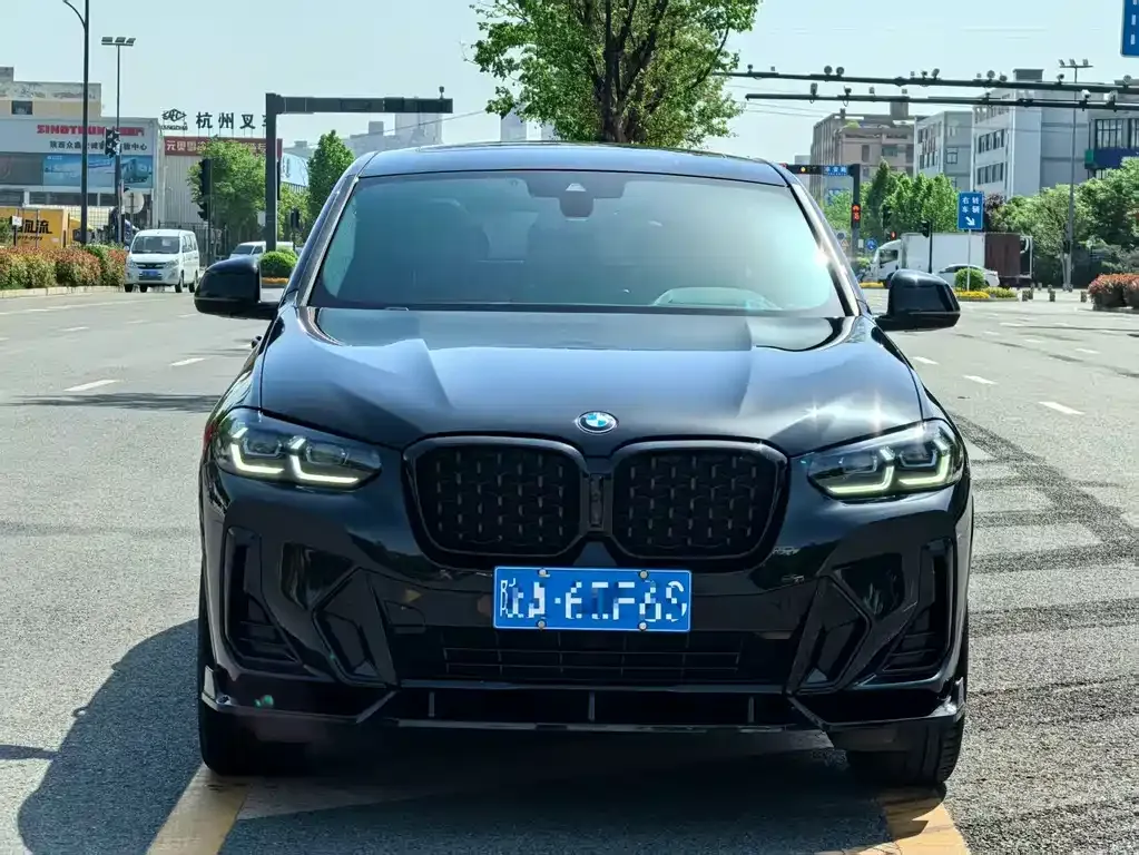 BMW X4 2023 из CN, фото 4