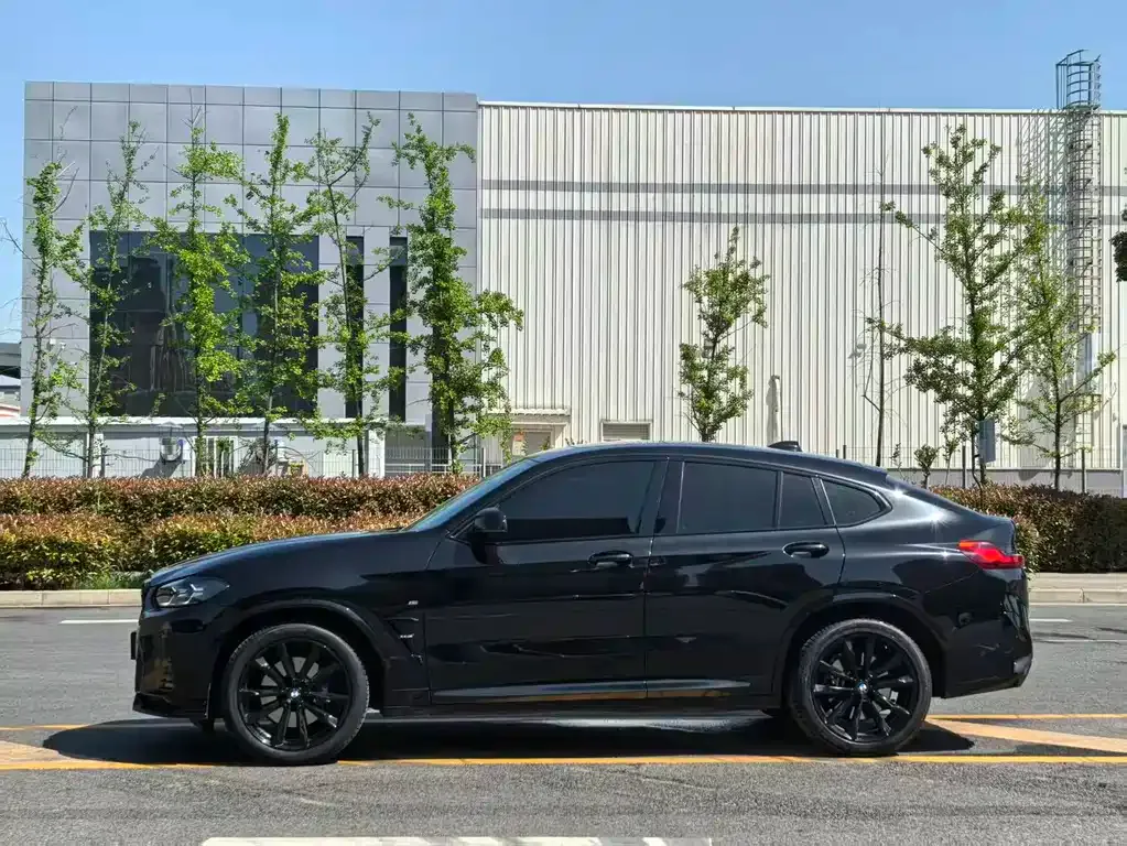 BMW X4 2023 из CN, фото 9