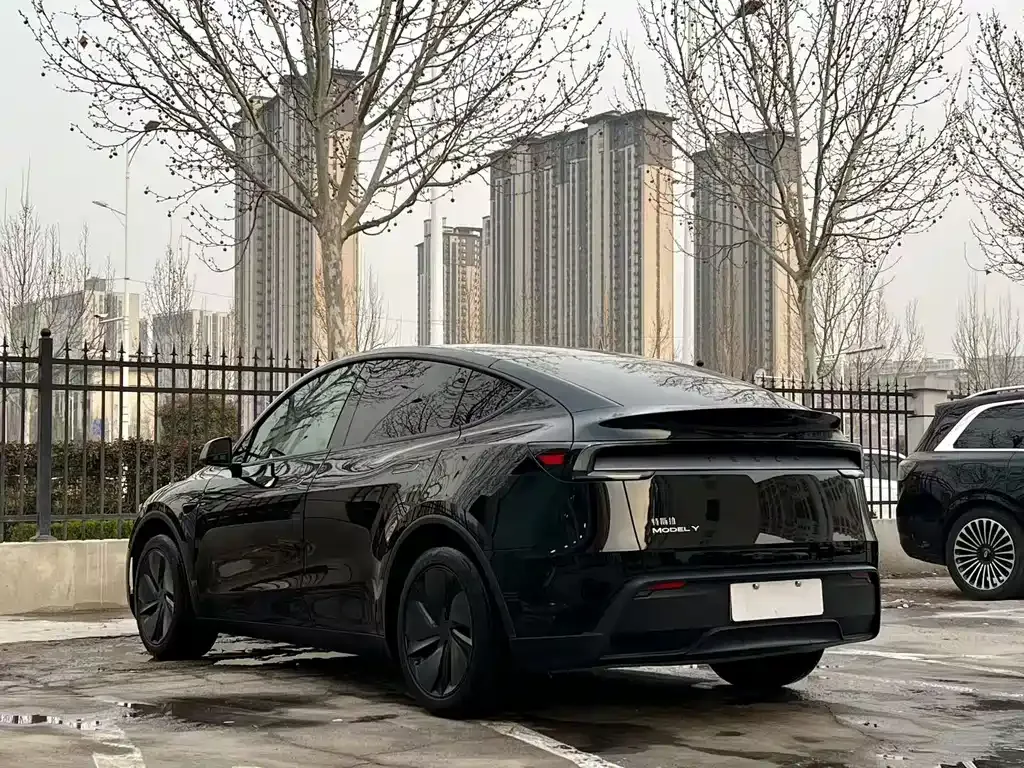 Tesla Model Y — фото 7