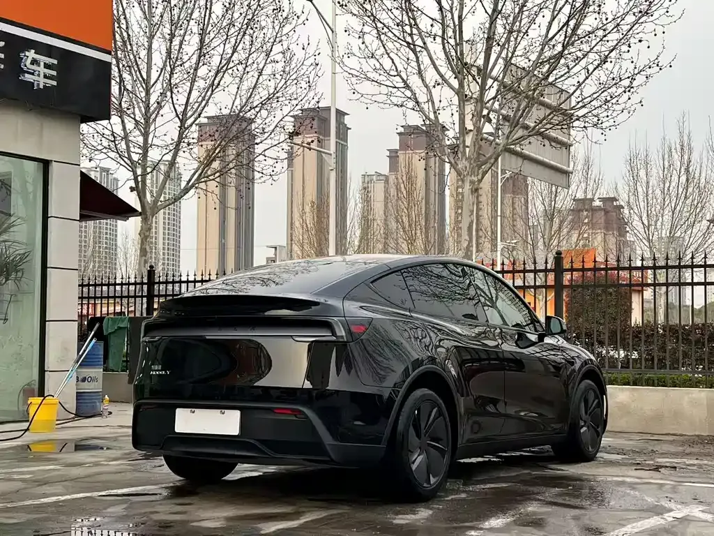 Tesla Model Y — фото 8