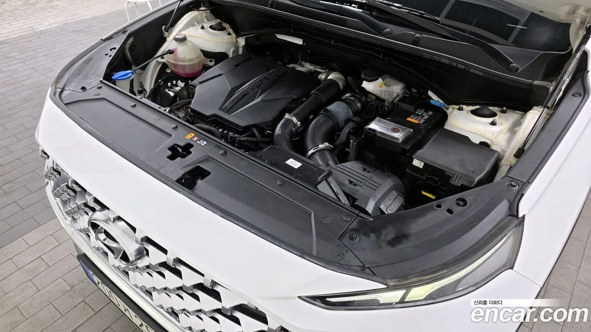 Hyundai Santafe 2021 из KR, фото 7