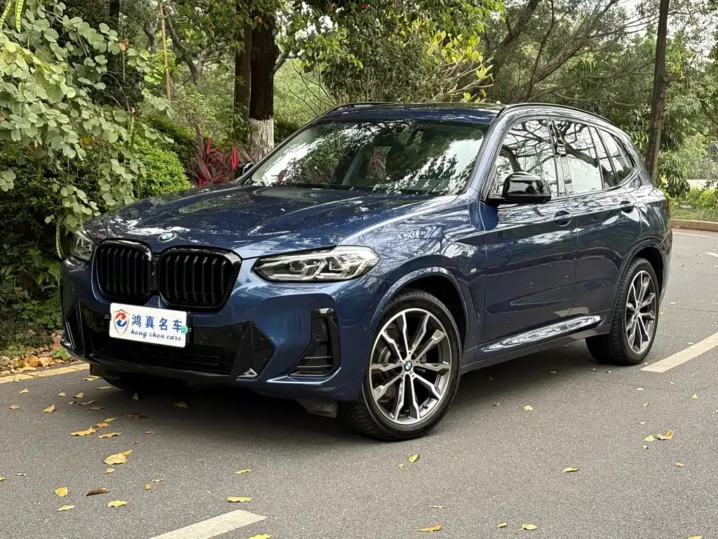 BMW X3 — фото 1