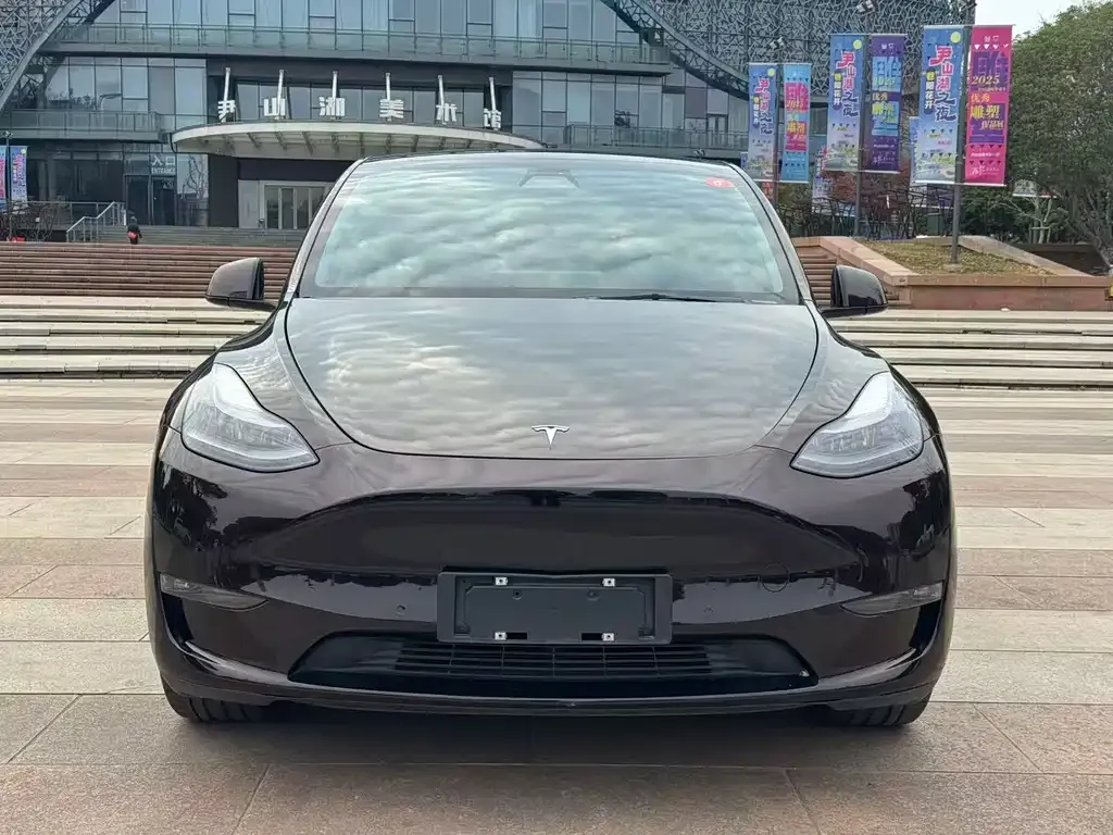Tesla Model Y — фото 5