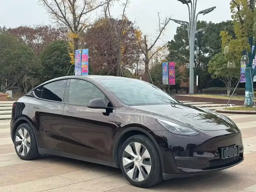 Tesla Model Y — фото 8