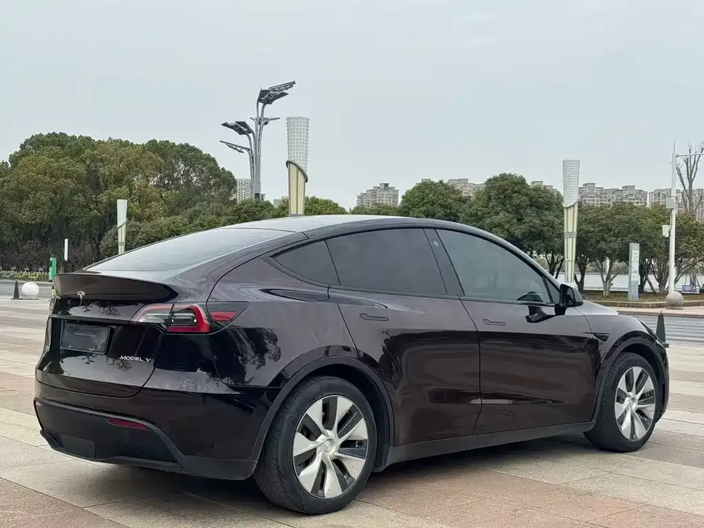Tesla Model Y — фото 9
