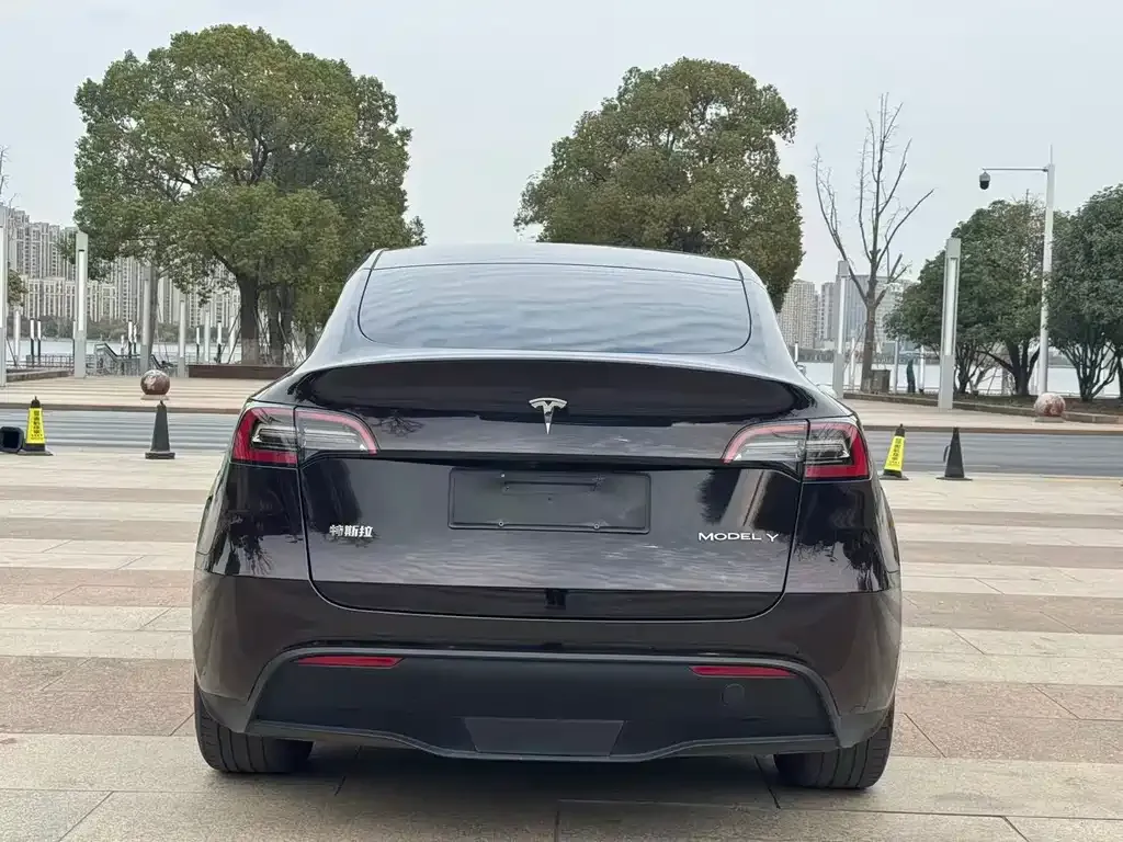 Tesla Model Y — фото 3