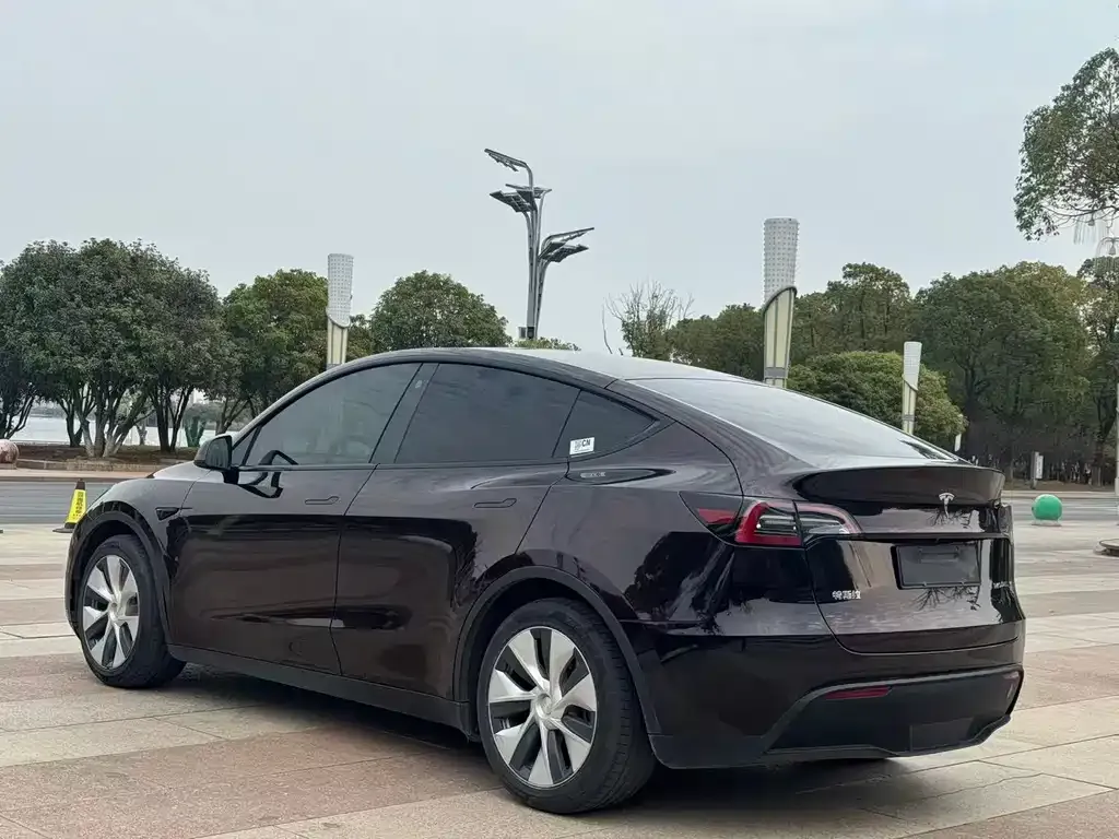 Tesla Model Y — фото 4