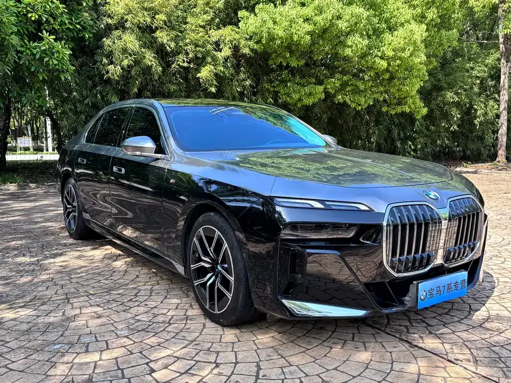 BMW 7 Series 2024 из CN, фото 9
