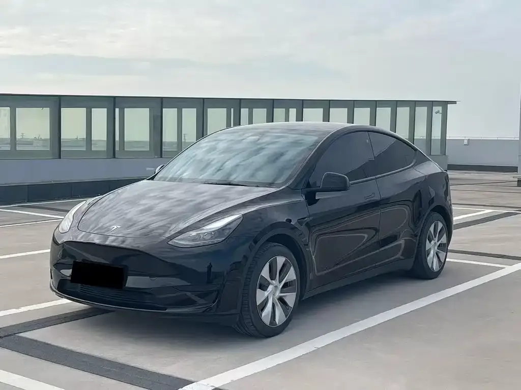 Tesla Model Y — фото 7