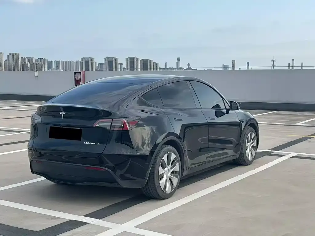 Tesla Model Y — фото 6